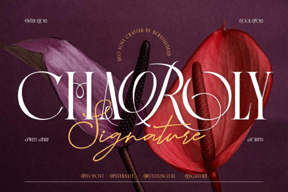Charoly Signature: A Harmonious Blend of Classic and Script